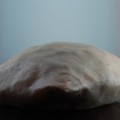 Dead Pillow, 2011, Sculpture Mixed  Media 7.1 x 15 x 15 inch (HxWxD)