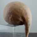 Eidetic 1, 2011, Sculpture Mixed Media 7.9 x 5.5 x 6.7 inch (HxWxD)