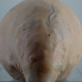 Eidetic 1, detail, 2011, Sculpture Mixed Media 7.9 x 5.5 x 6.7 inch (HxWxD)