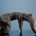 Eidetic 2, 2010, Sculpture Mixed Media 32×22×18 cm (HxWxD)