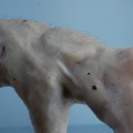 Eidetic 2, detail, 2010, Sculpture Mixed Media 32×22×18 cm (HxWxD)
