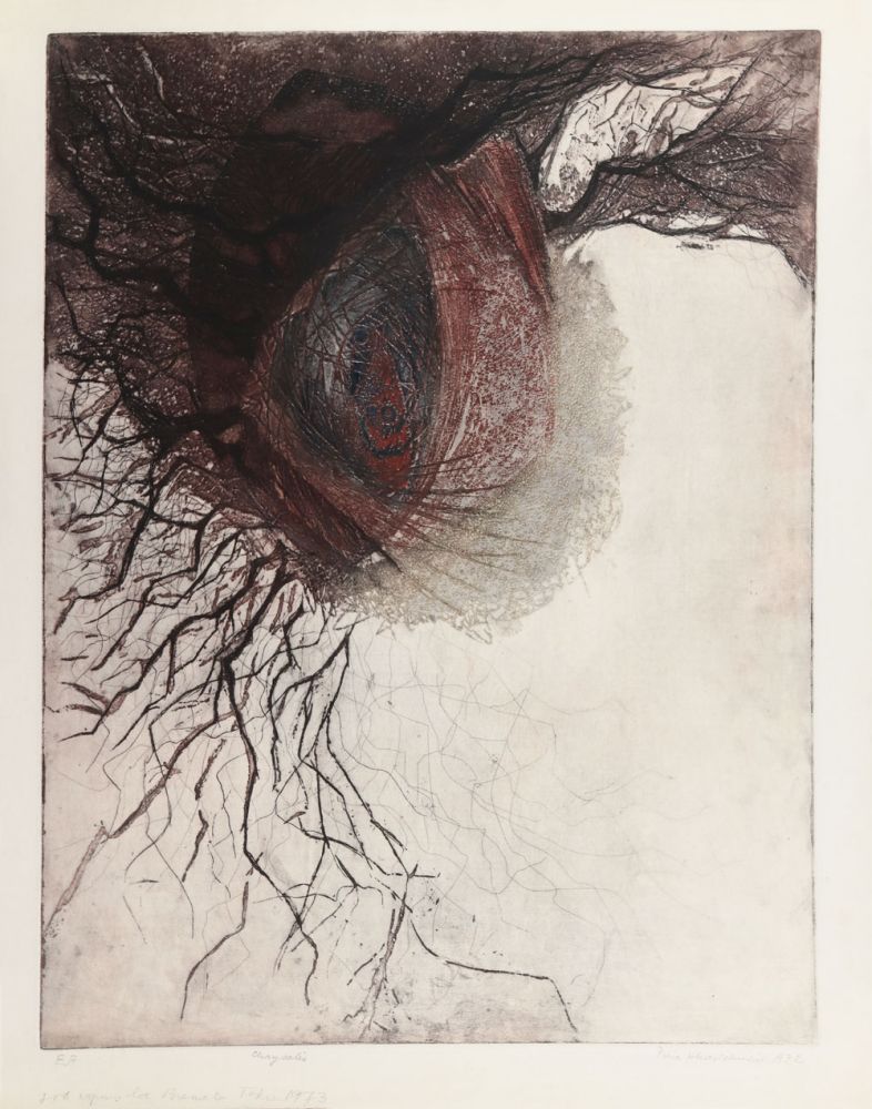 Puia Hortensia Masichievici, Chrysalis, EA, 1972, 70x100 cm