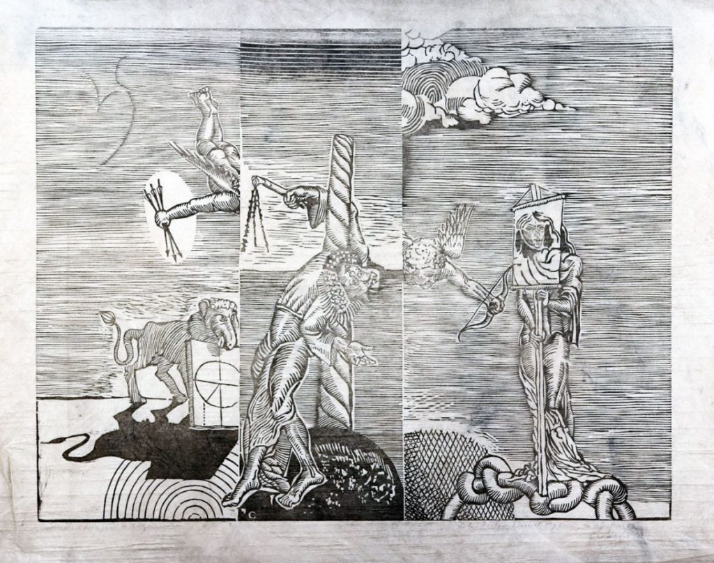 Florin Creangă, Geometria lionis, xilogravură, 50x64 cm