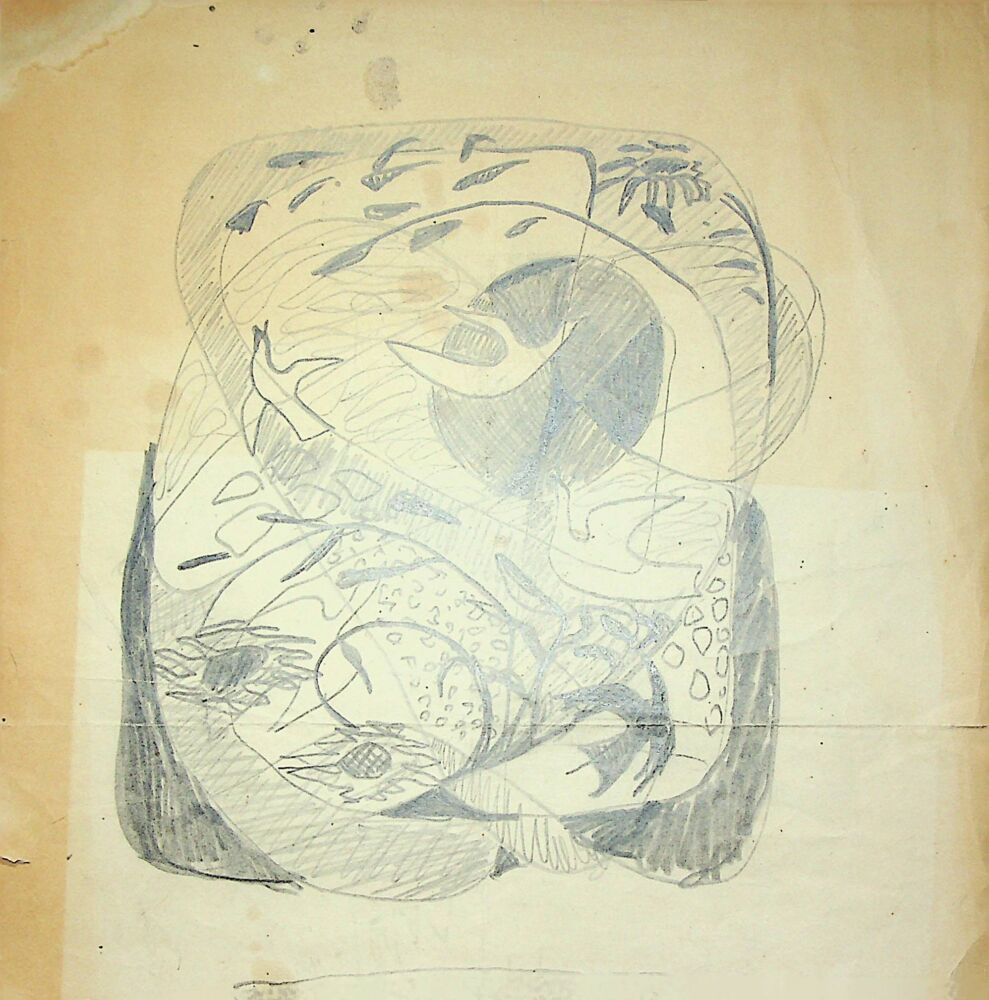 Puia Hortensia Masichievici Mișu, Mapa De reluat, 20x21 cm