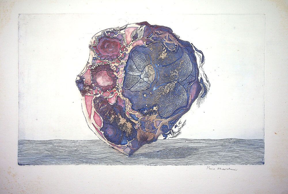 Puia Hortensia Masichievici Mișu, Celula primordiala, 1987, 41x50 cm